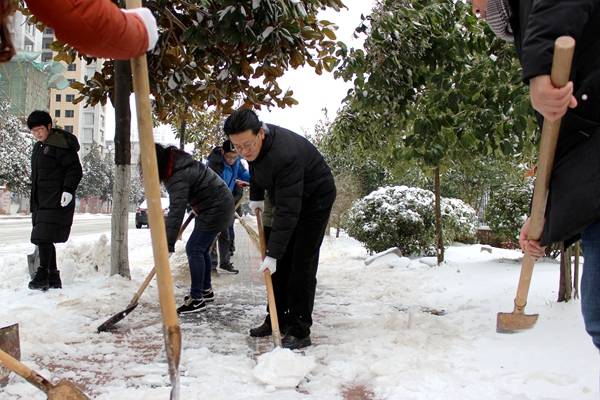 撸起袖子齐劳动——威廉希尔足球官网志愿扫雪活动